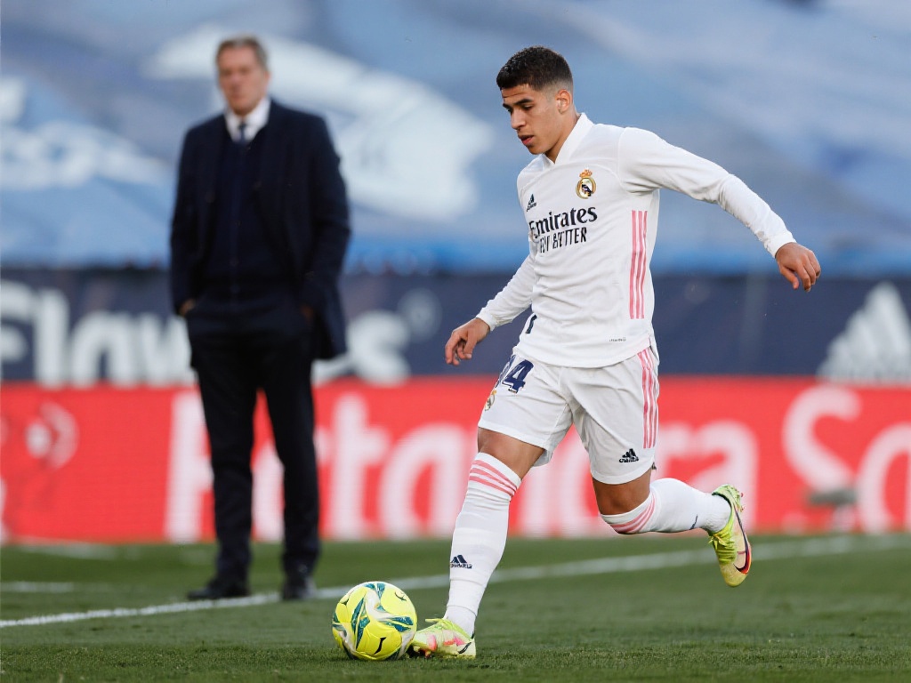 洲俱乐部的 洲俱乐部的